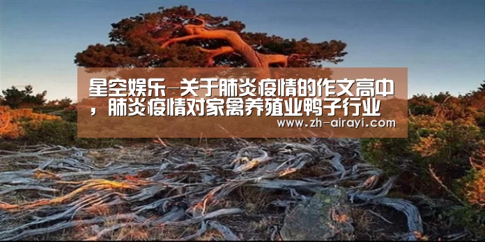 星空娱乐-关于肺炎疫情的作文高中,肺炎疫情对家禽养殖业鸭子行业的影响会怎(图1) 星空娱乐