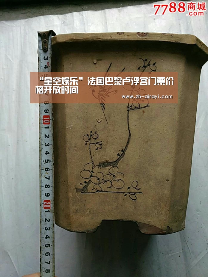 星空娱乐