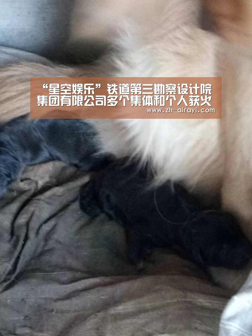 “星空娱乐”铁道第三勘察设计院集团有限公司多个集体和个人获火车头奖(图2) 星空娱乐